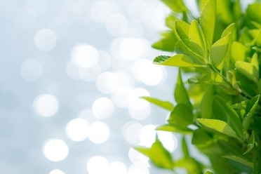 戦う時代はもう終わった。これからは・・・